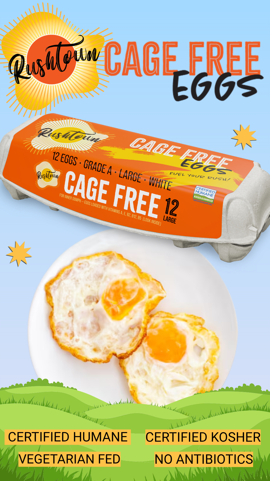 Rushtown Cage Free Eggs 